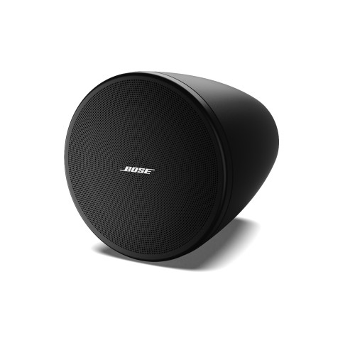 Bose DesignMax DM5P